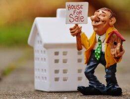 toy house with a smiling man with house for sale sign and a birdhouse